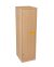 Armoire 1 porte battante 36x40xH132cm